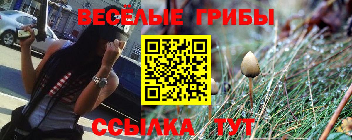 Калуга  Галлюциногенные грибы Cubensis  Псилоцибиновые грибы Psilocybe  Вход с VPN 