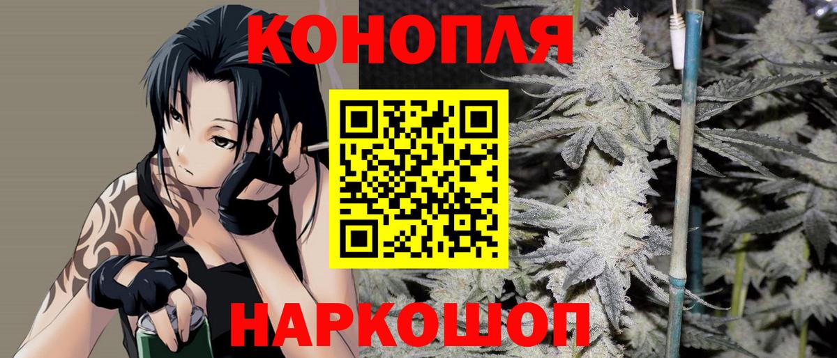 Бошки Шишки Калуга